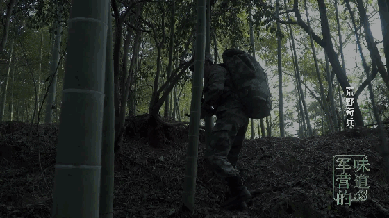 特种作战不含糊!陆军侦察兵上演武装渗透经典战例