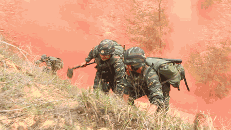实战就是这么干！武警特战队员反恐演练展示过硬实力——上海热线军事频道