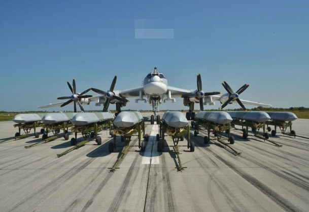 俄罗斯图式轰炸机图片